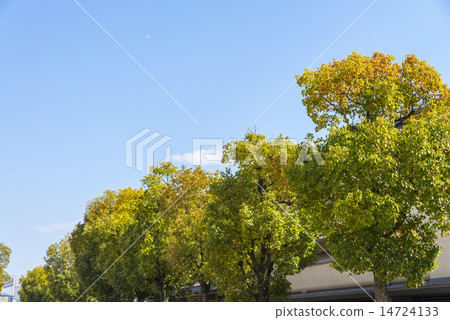 Fresh green and blue sky 14724133