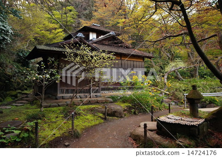 Sankei en garden·禮堂（重要文化財產）神奈川縣橫濱市中區本牧 14724176