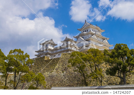 藍天和姬路城堡 14724207