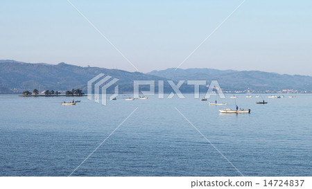 Lake Shinji漁業捕魚 14724837
