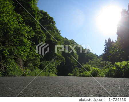 新鮮的綠色山路徑 14724838