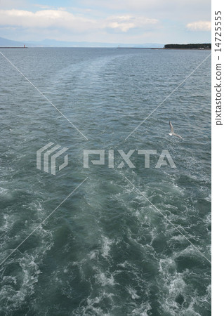 Shimizu Port of early spring 14725555