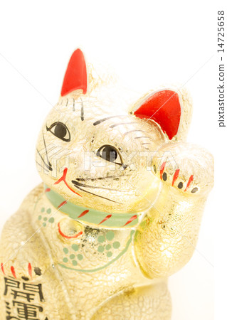 金的邀請貓 14725658