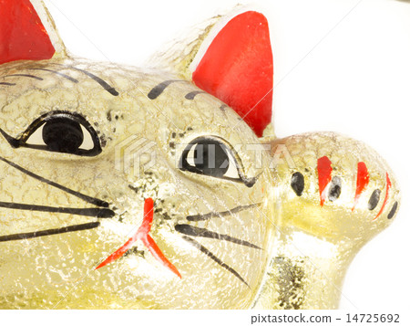 金的邀請貓 14725692