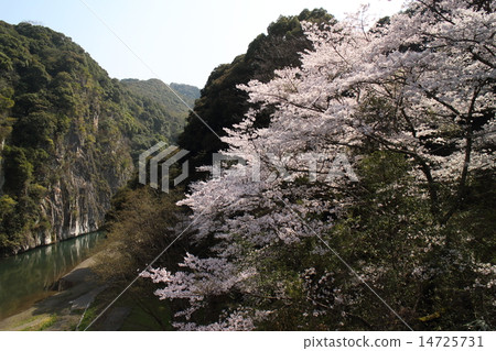 Tategamikai 14725731