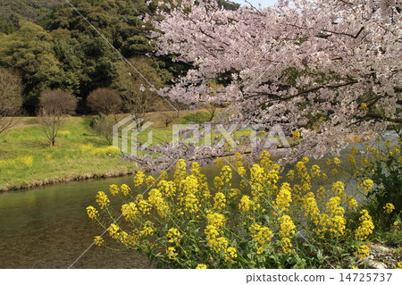 Toyo Village Hikawa 14725737