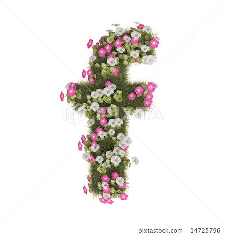 Alphabet of morning glory 14725796