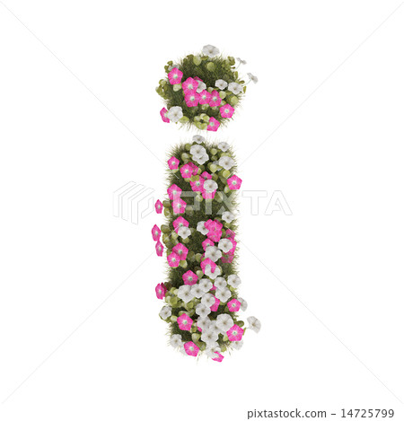 Alphabet of morning glory 14725799