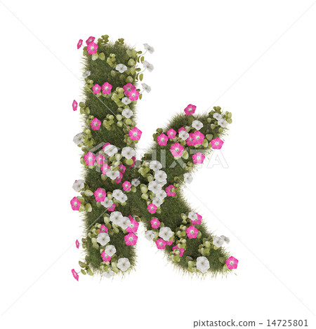 Alphabet of morning glory 14725801