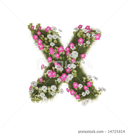 Alphabet of morning glory 14725814