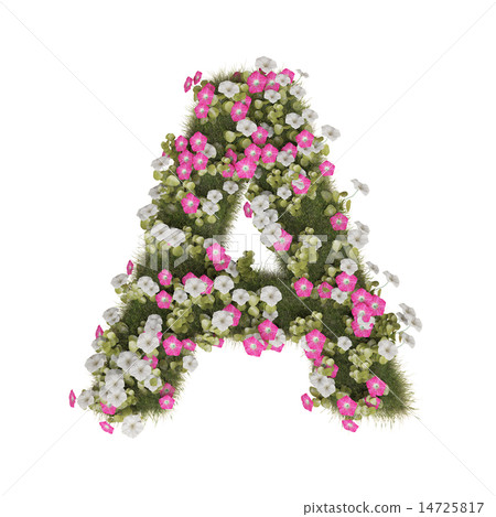 Alphabet of morning glory Alphabet of morning glory 14725817
