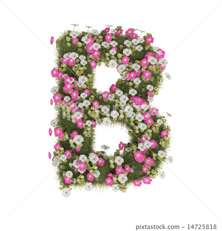 牽牛花字母表 牽牛花字母表 14725818