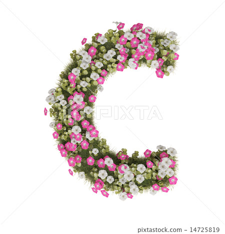 牽牛花字母表 牽牛花字母表 14725819