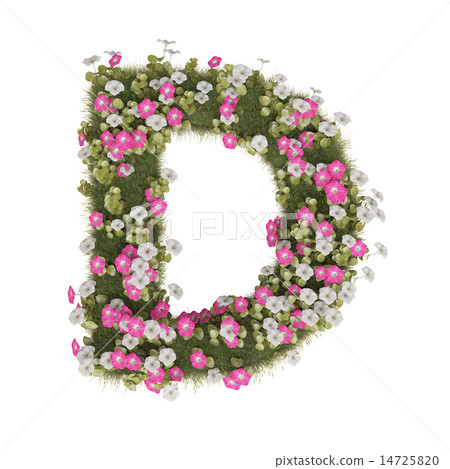 牽牛花字母表 14725820