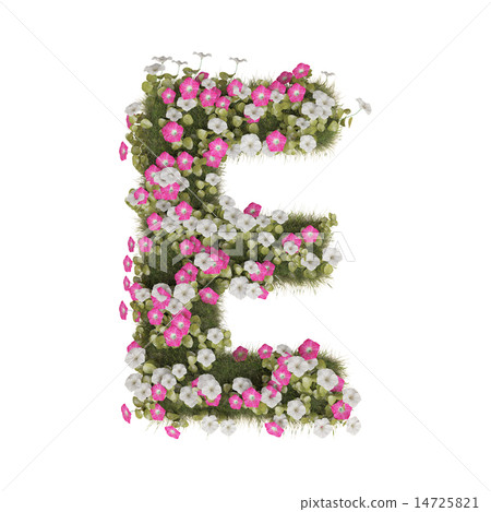 牽牛花字母表 牽牛花字母表 14725821