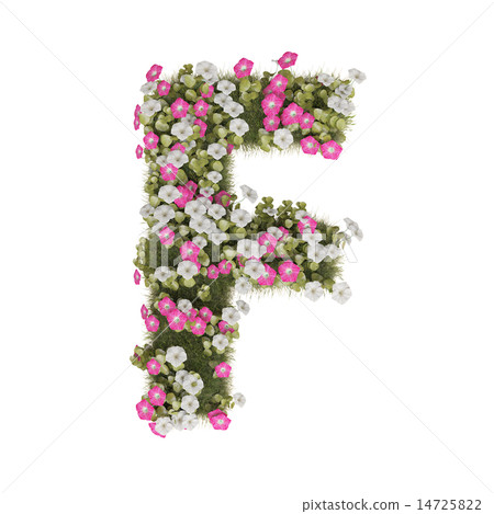 Alphabet of morning glory 14725822