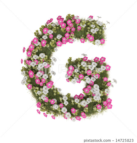 Alphabet of morning glory Alphabet of morning glory 14725823