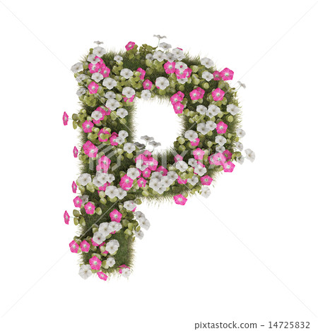 牽牛花字母表 14725832