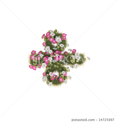 牽牛花的運作 14725897