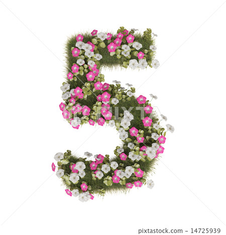 牽牛花數字 14725939