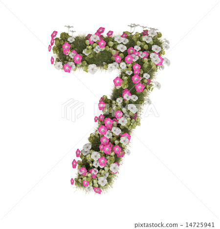 牽牛花數字 14725941