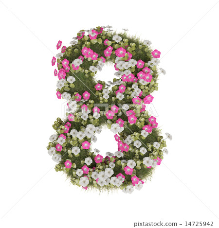牽牛花數字 14725942
