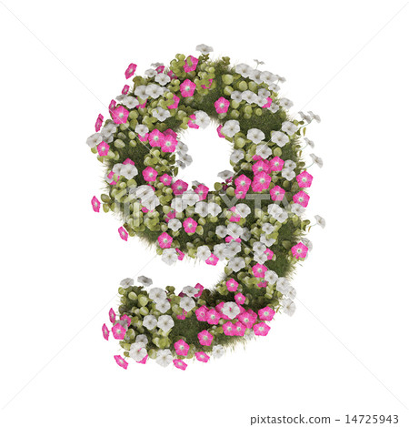 牽牛花數字 14725943