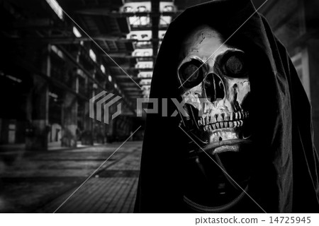 Skull of a human size robot Skull of a human size robot 14725945