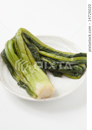 野澤Nakake 14726020