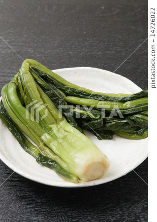 野澤Nakake 14726022