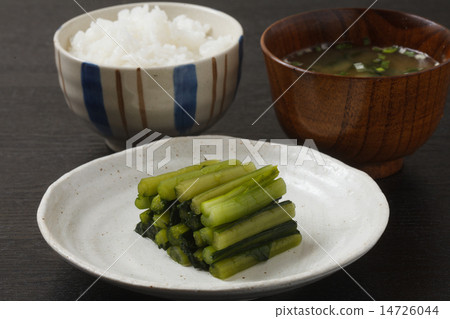 Nazawa pickles and rice 14726044