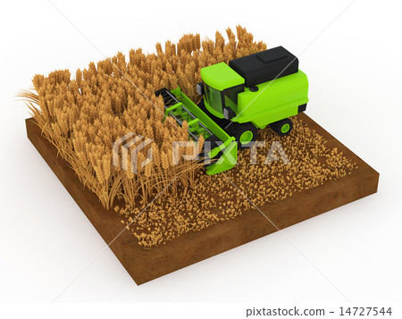 Wheat Harvest 14727544