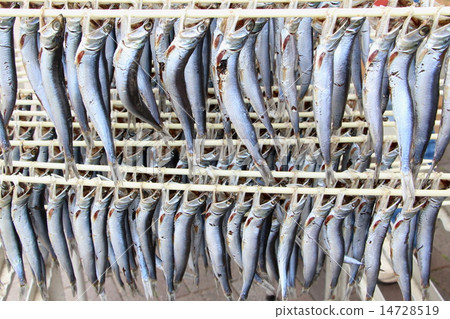 Sardine full round dried 14728519