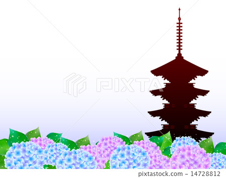 八仙花屬京都背景 插圖素材 圖庫