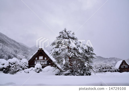 Snow Shirakawa Town 14729108