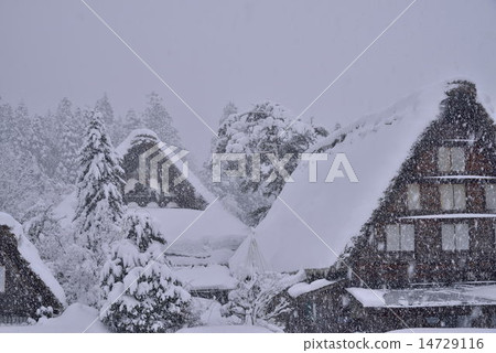Snow Shirakawa Town Snow Shirakawa Town 14729116