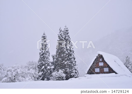 雪白川鄉 14729124