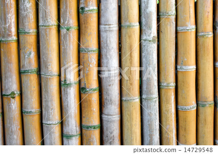 Bamboo fence Bamboo fence 14729548