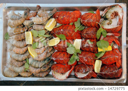 sea food sea food 14729775