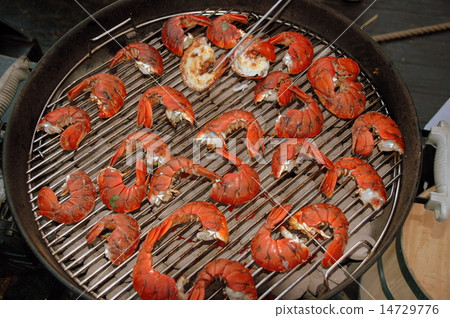 sea food sea food 14729776