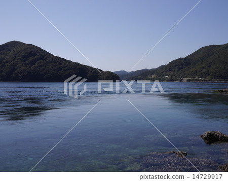 長崎五島群島若松島 14729917
