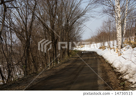 A mountain road of snow melting A mountain road of snow melting 14730515