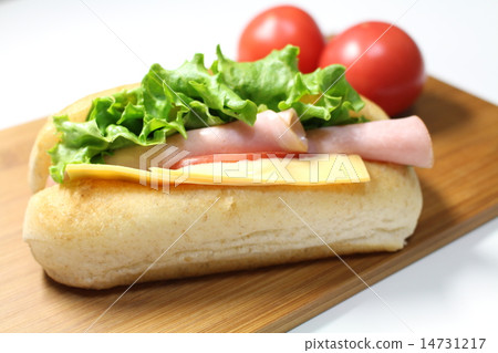 Sandwich 14731217