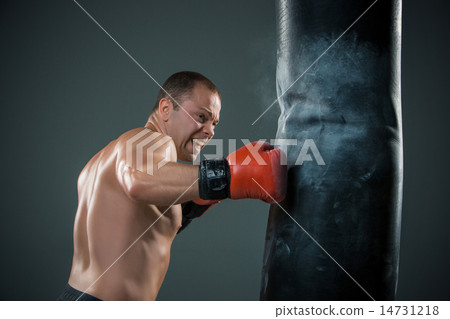 Young Boxer fighter  14731218