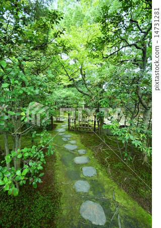 Mother Temple Road 14731281