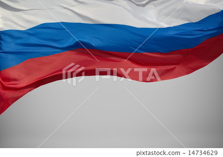 The flag . The flag . 14734629