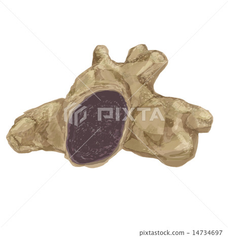 Black ginger 14734697