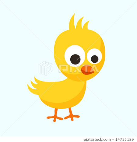 Small Chick Small Chick 14735189
