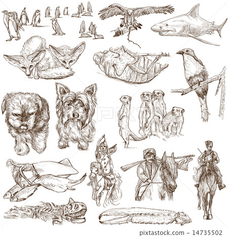 Animals around the World - Hand drawings on white Animals around the World - Hand drawings on white 14735502