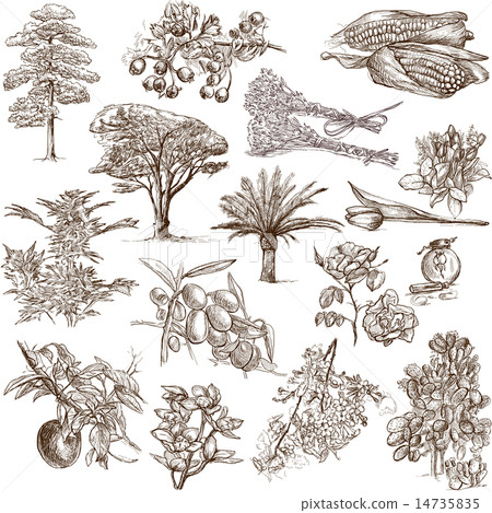 flowers and trees - hand drawn pack on white 14735835